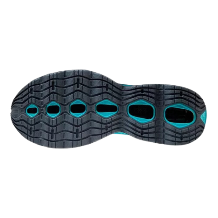 mizuno wave prophecy x